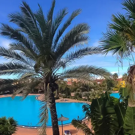 Apartment B-rent Tamarindo Amazing Sea View